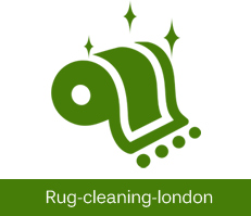 Rug Cleaning Services