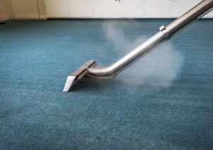 Carpet cleaning service companies