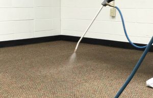 Carpet Cleaning Services