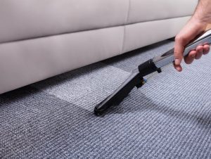 Professional Carpet Cleaning Near Me
