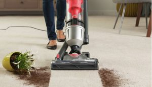 Professional carpet cleaning services