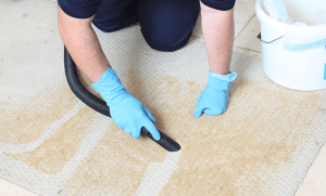 Professional Carpet Cleaning Near Me