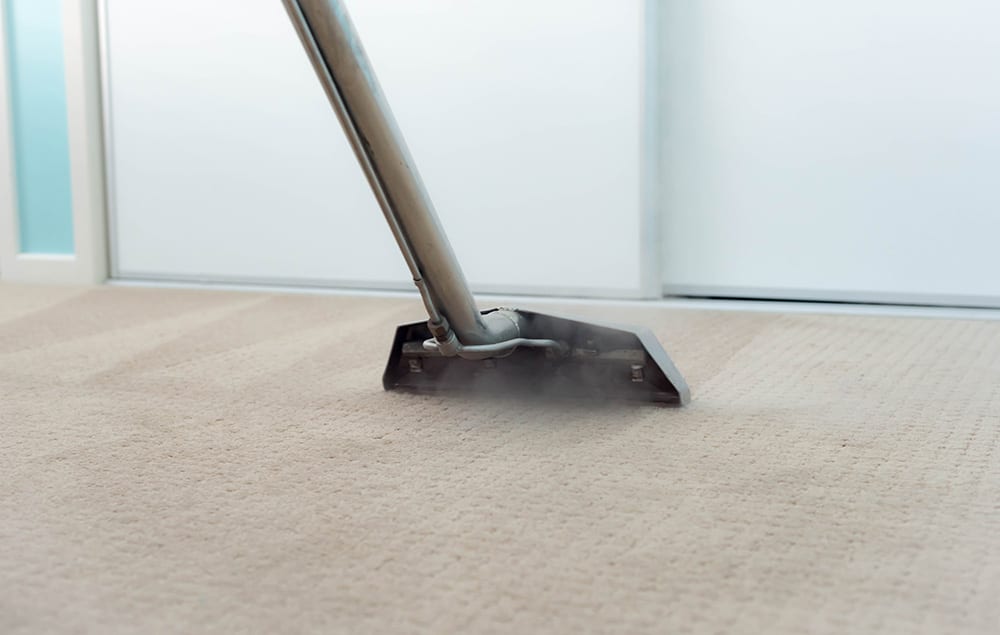 Cheap Carpet Cleaning Services Near Me